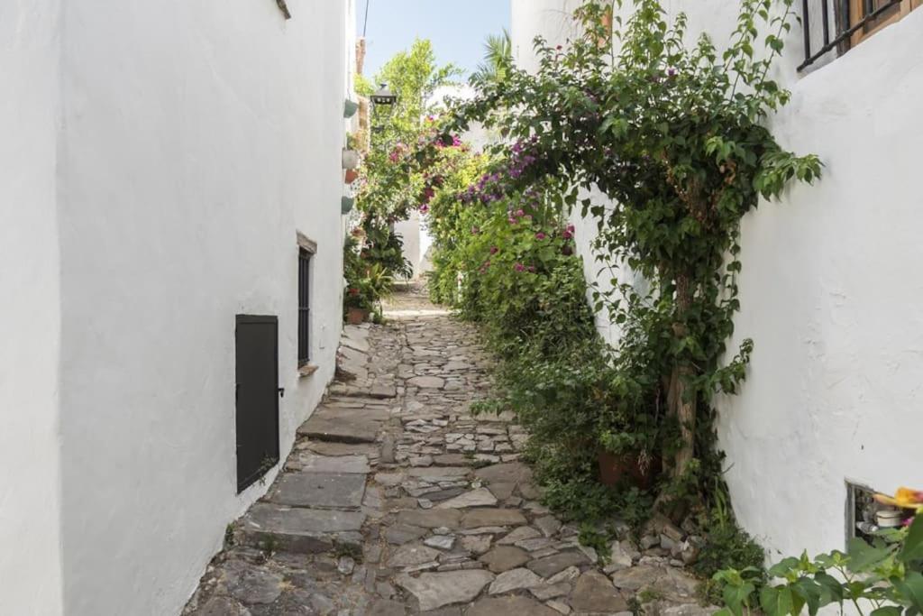 Tranquilo Y Comodo Apartamento En Vejer De La Frontera Εξωτερικό φωτογραφία